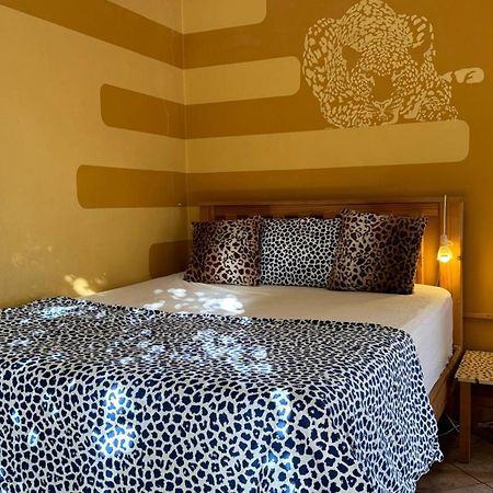 Paradisegarden Backpackers Уиндхоек Екстериор снимка