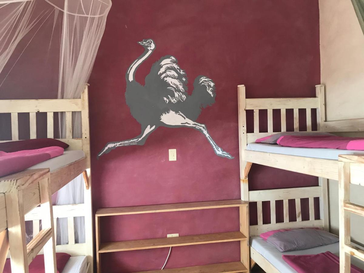 Paradisegarden Backpackers Уиндхоек Екстериор снимка